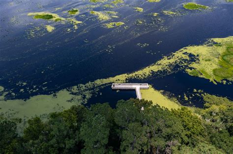 Ocala National Forest An Epic Guide To Floridas Hidden Gem