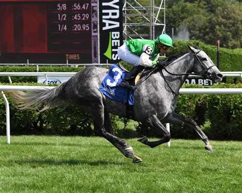 Live Longshots and Value Bets for the 2023 Breeders’ Cup Races