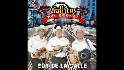 Trio Los Gallitos Del Bernal Produccion 2018 Youtube