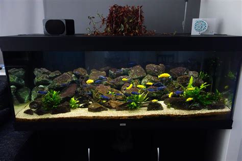 10 Cool Fish Tanks Ideas