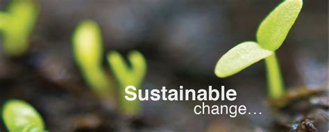 Sustainable Change Changewise