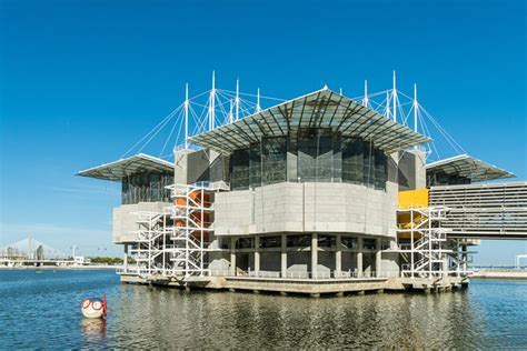 Lisbon Oceanarium And Belém And Modern Lisbon Bus Hop On Hop Off Tours