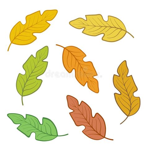 Set Of Colorful Autumn Oak Leaves For Design On White Stock Vector