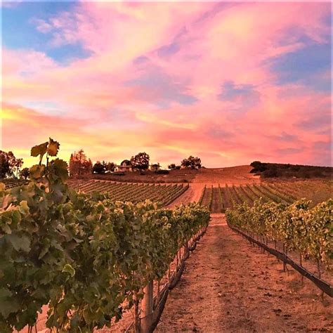 10 Best San Diego Wineries You Must Try If You Love Wine