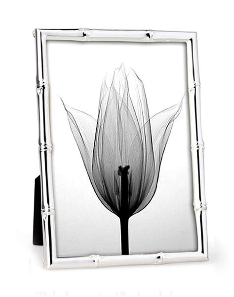 Whitehill Studio Silver Plated Photo Frame Bamboo 5x7