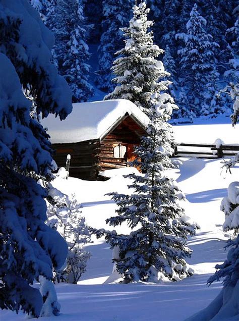Snow Covered Cabin Photo On Sunsurfer