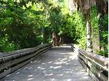 Macarthur State Park Florida Pictures