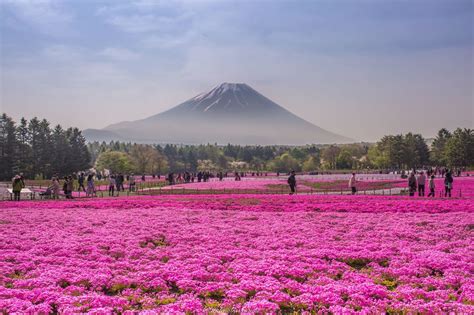 Japan's isolation from the rest of asia and its long history have created a unique culture and a vast variety of famous landmarks and attractions throughout the country. 15 Places That Will Make Japan Your Dream Travel Destination