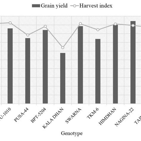Grain Yield And Harvest Index Of Different Rice Genotypes During The