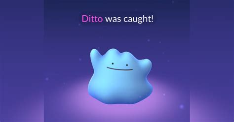 how to catch ditto in pokémon go where to find it january 2022 the hiu