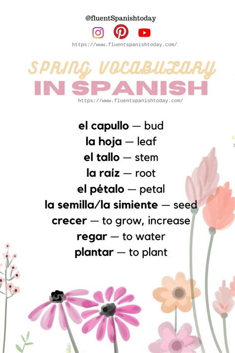 Learn Fluent Spanish Today Spanishvocabulary Spanishspring