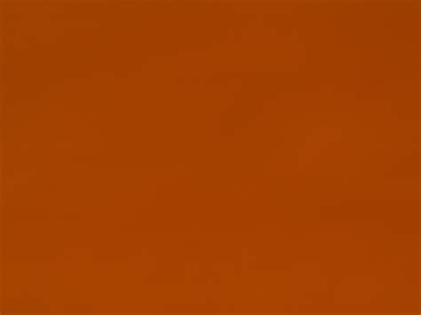The Color Orange Effy Moom