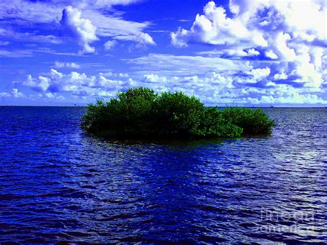 Mini Island In Tampa Bay Photograph By Josephine W Fine Art America