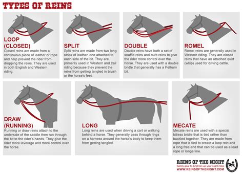 Types Of Reins Horse Facts Horse Lessons Horse Care