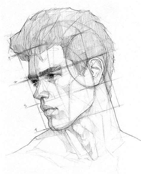 Male Drawing Reference Face ~ Male Face Drawing Reference Realistic Experisets