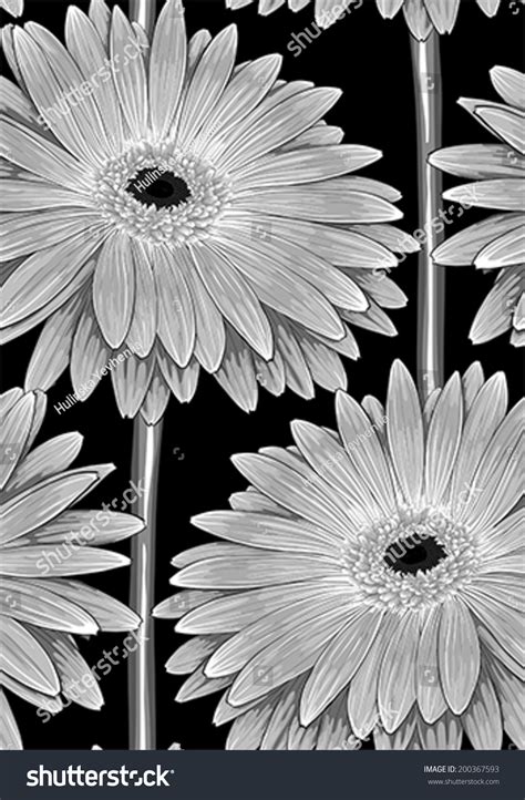 Beautiful Monochrome Black And White Seamless Background With Gerbera