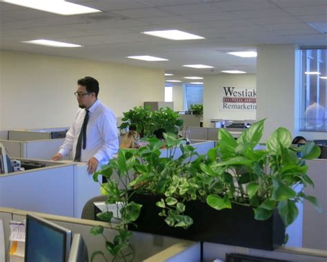 Interior Office Plant Design Beautification Thru Vegetation
