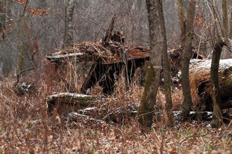 How To Build A Natural Deer Hunting Blind Know Prepare Survive