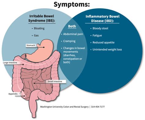 Healthline Irritable Bowel Syndrome Ibs Vs Inflammatory Bowel