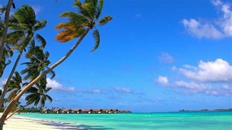 Malediven Blaues Meer Tropisch Palmen Blauer Himmel 3840x2160 Uhd