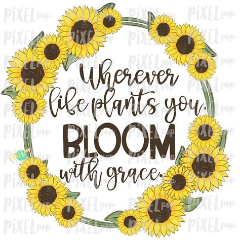 Wherever Life Plants You Sunflowers Frame PNG | Sunflowers | Sunflowers ...
