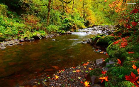 Streams Wallpapers Top Free Streams Backgrounds Wallpaperaccess