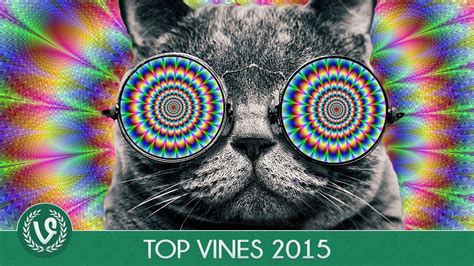 Best Trippy Vine Compilation 2 Funny Vines 2015 Youtube
