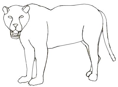 Complete the drawing by adding the necessary details and finishing touch. How to Draw a Jaguar - Draw Step by Step