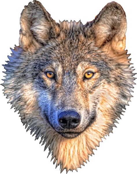 We did not find results for: Clipart - Wolf Head