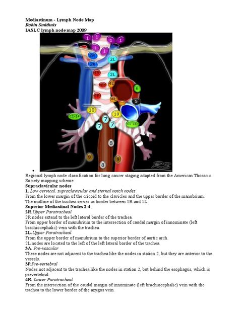 Mediastinum Lymph Node Map Aorta Lung