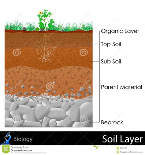 Soil Layer Clipart 20 Free Cliparts Download Images On Clipground 2024