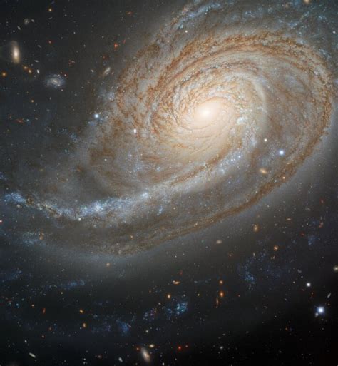 Spiral Galaxy Ngc 772 Features An Overdeveloped Spiral Arm