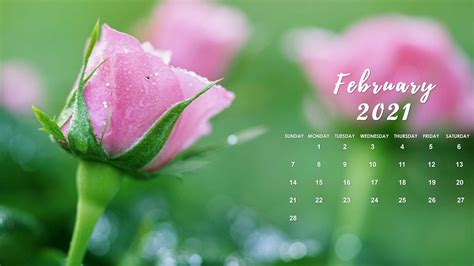 February 2021 Screensavers Best Happy New Year 2021 Wallpaper Images