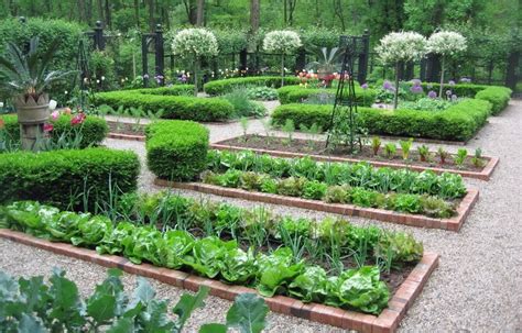 Современный огород и его дизайн: красивые грядки на вашей даче (35 фото ...