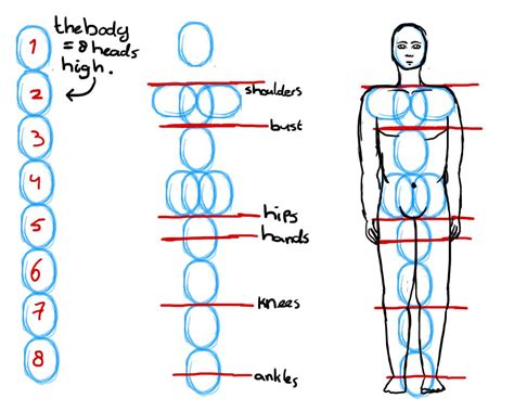 Proporsi Tubuh Manusia Human Proportions Human Body Drawing Draw Body Riset