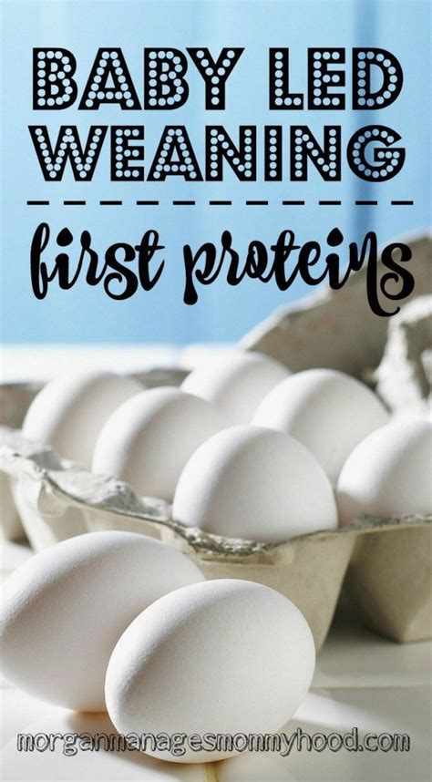 They are soft, nutritious and packed full of goodness and they contain no sugar or salt making them a yummy first food too. Ultimate List of Proteins for Baby: Over 20 ideas! - MMM ...