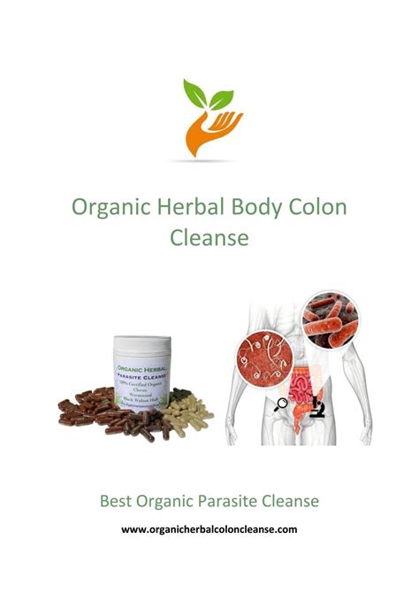 Natural Parasite Colon Cleanse By Natural Body Colon Cleanse Herbs Issuu