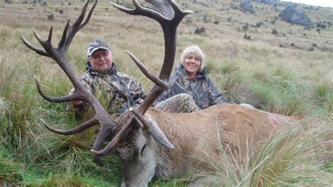 Red Stag 390 420 Inches Four Seasons Safaris New Zealand