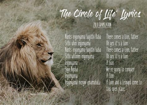 This is reflected in the visuals showing every animal in the pride lands performing a pilgrimage to witness. 20 Beautiful African Words in 'The Lion King' That'll Make ...