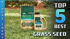 Top 5 Best Grass Seeds Review in 2022