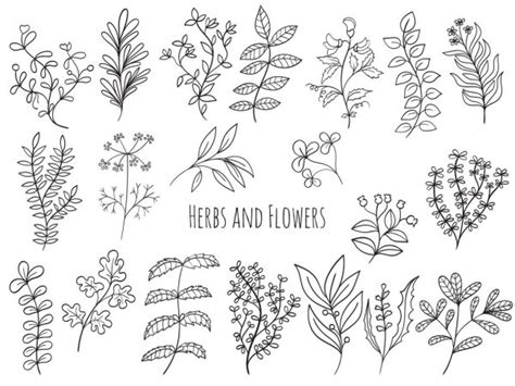 Ver más ideas sobre dibujos de flores, dibujos, flores para dibujar. Plantas Alimenticias Para Colorear - Get Images