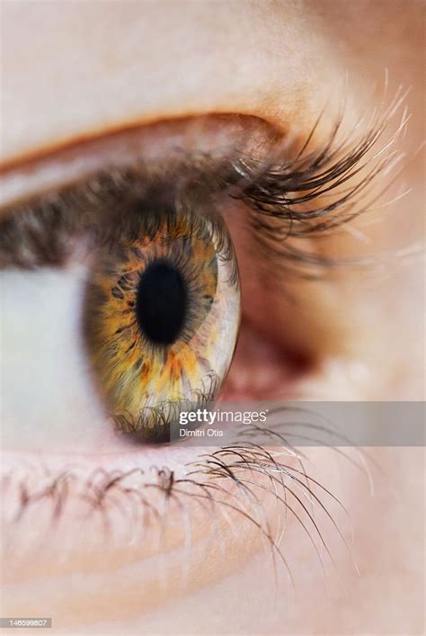 Closeup Of A Human Eye Side View High Res Stock Photo Getty Images