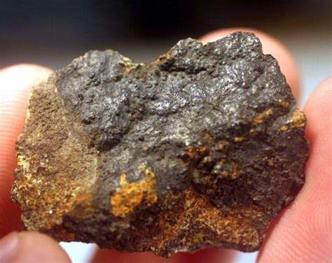 Ancient Egyptians Wore Jewellery Made From Meteorites News Nation English