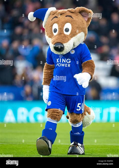 Leicester Filbert Fox Hi Res Stock Photography And Images Alamy