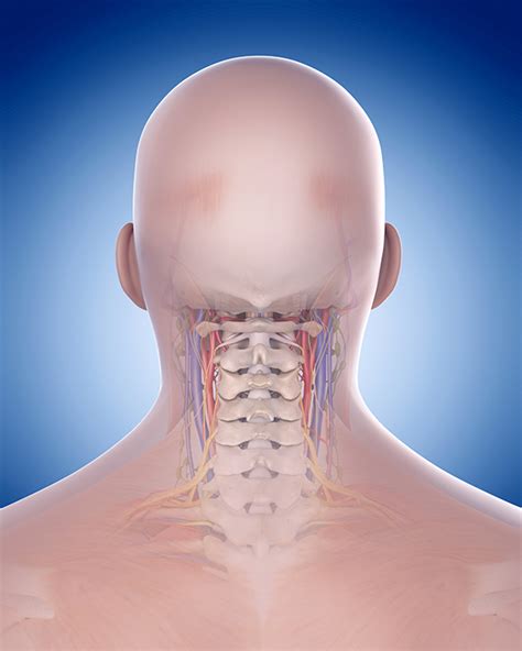 Atlas Orthogonal Chiropractic Wetherington Chiropractic Clinic