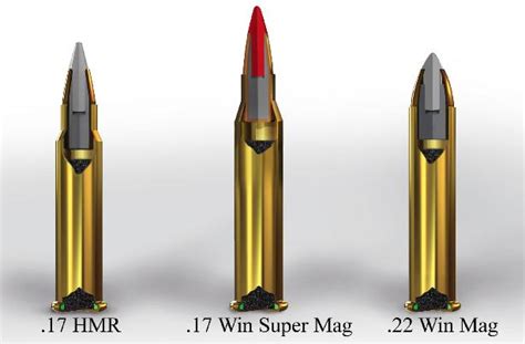 The New 17 Winchester Super Magnum Rimfire Varminter Magazine