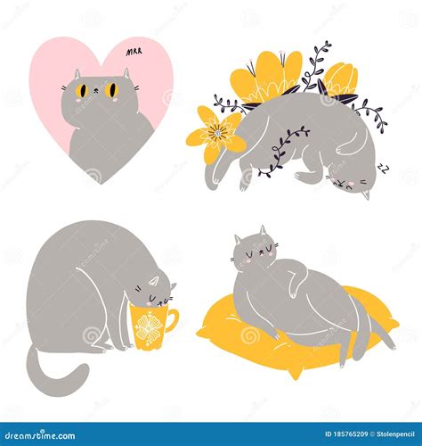 Cute British Shorthair Cat Vector Collection 6 Stock Vector Illustration Of Graphic Cute