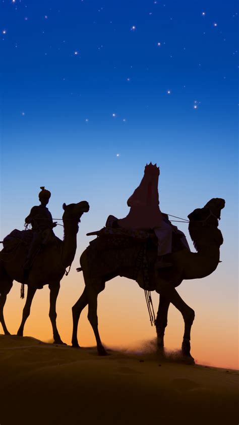 1080x1920 Camel Desert Animals Silhouette Hd For Iphone 6 7 8