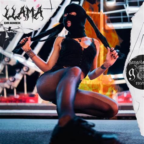 Stream Dramek Llama By Gangsta House Records Listen Online For Free On Soundcloud