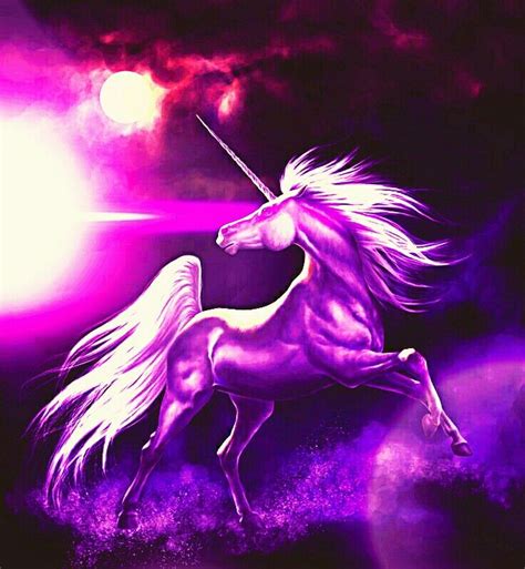 Purple Unicorn Unicorn Fantasy Pegasus Art Unicorn Pictures